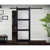Renin 36 inch x 84 inch Espresso 3 Lite Frosted Glass Barn Door with Hardware Kit BD061W01ES3TGE36084